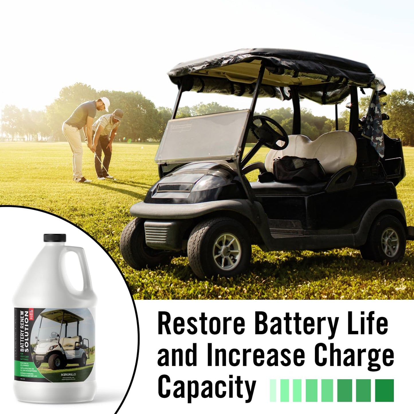 Battery Renew Solution For Golf Cart Batteries - 64 oz - Refurbish, Repair & Restore Any 6 Volt, 8 Volt or 12 Volt Lead Acid Battery - Made in USA - Non-Toxic Refill Solution